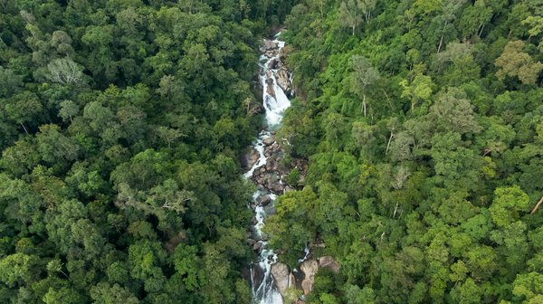Manuel essentiel pour créer une application mobile innovante de promotion des activités sportives en plein air